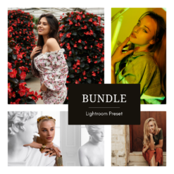 Midnightflare + Petaloria + Silvershade + Warmvella — Presets Bundle